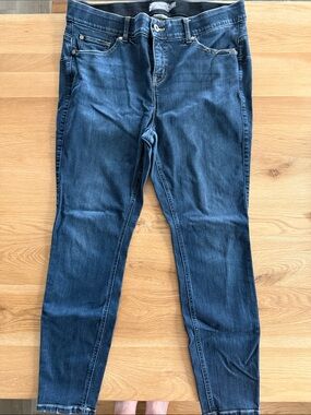 torrid Blue Skinny Stretch Jeans